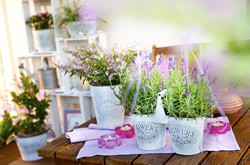 MiliieuFlowersGarden02