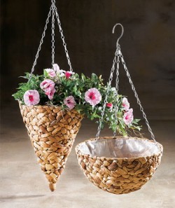blumenampel1a