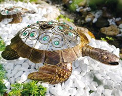 metallschildkroete