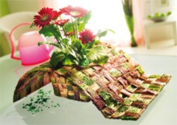 assets/Uploads/_resampled/SetWidth250-pflanzen3.jpg